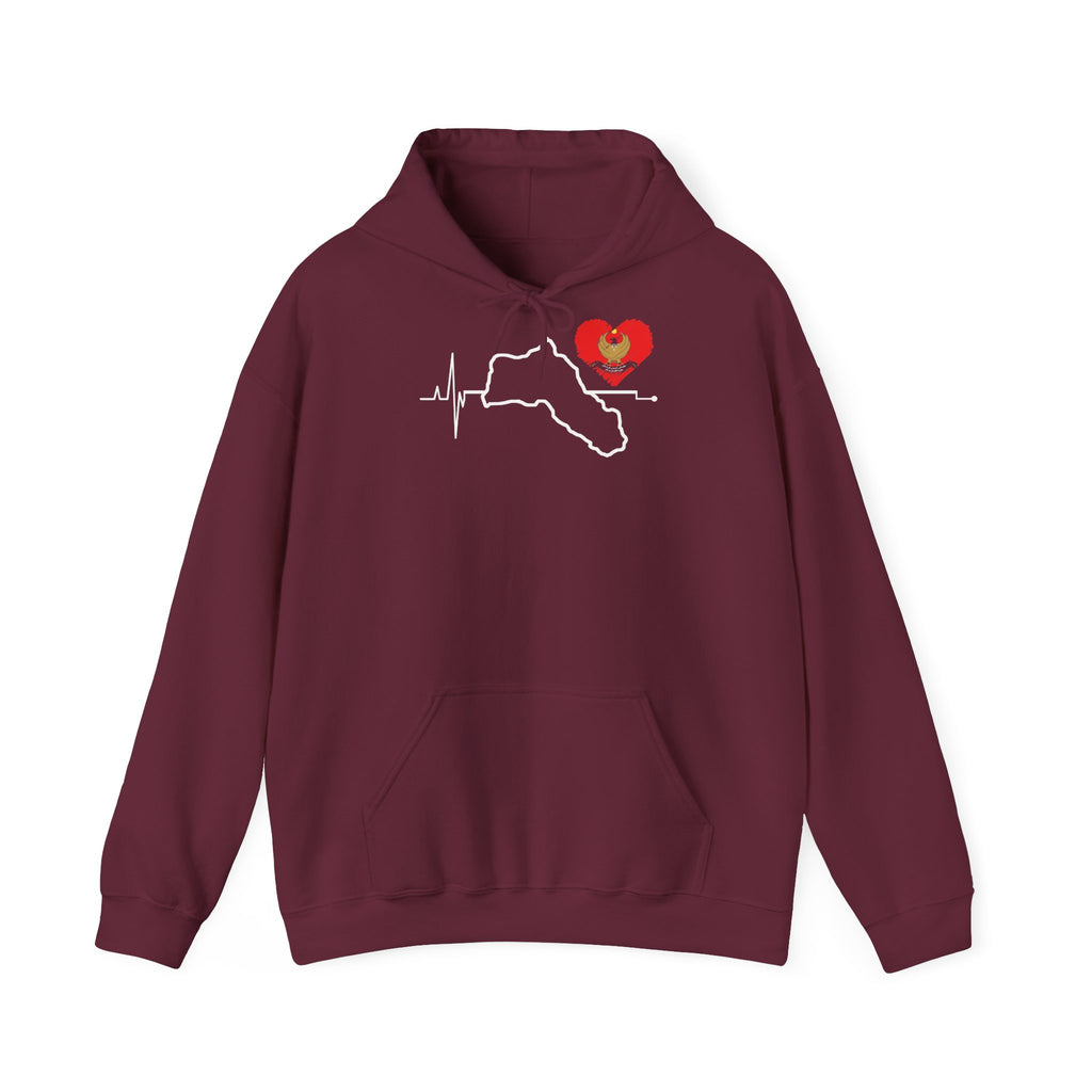 Orgullo de la patria kurda, escudo, bandera, deporte, fútbol, aficionado, regalo - Sudadera con capucha unisex