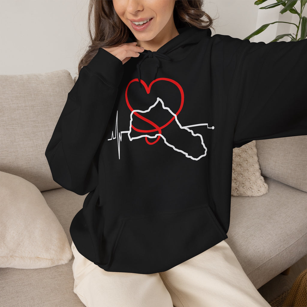 Orgullo de la patria kurda, escudo, bandera, deporte, fútbol, aficionado, regalo - Sudadera con capucha unisex